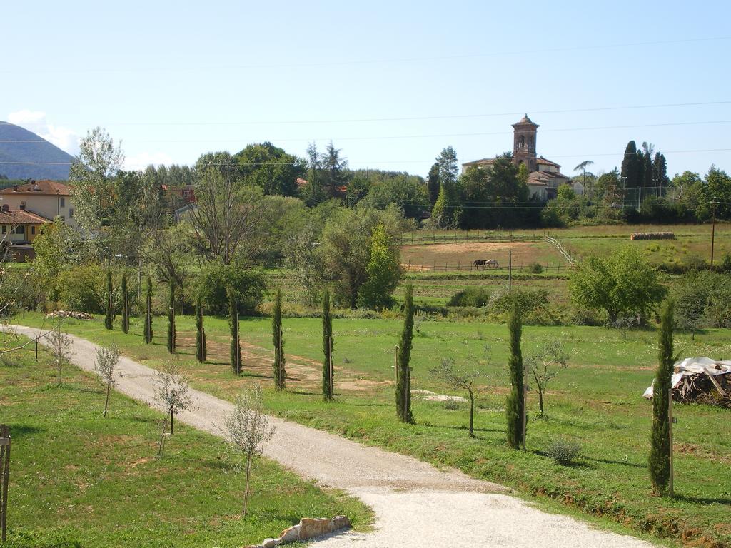 لوكا Agriturismo Ai Linchi المظهر الخارجي الصورة